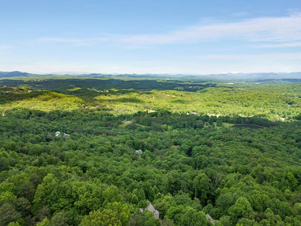 231 Sunrock Mountain Trail, Blue Ridge GA 30513 - Photo