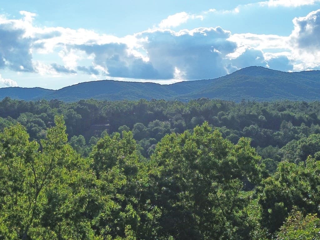 Lot 19 Mt. Springer Road, Ellijay GA 30540 - Photo