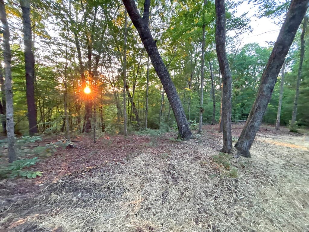 Lot 19 Mt. Springer Road, Ellijay GA 30540 - Photo
