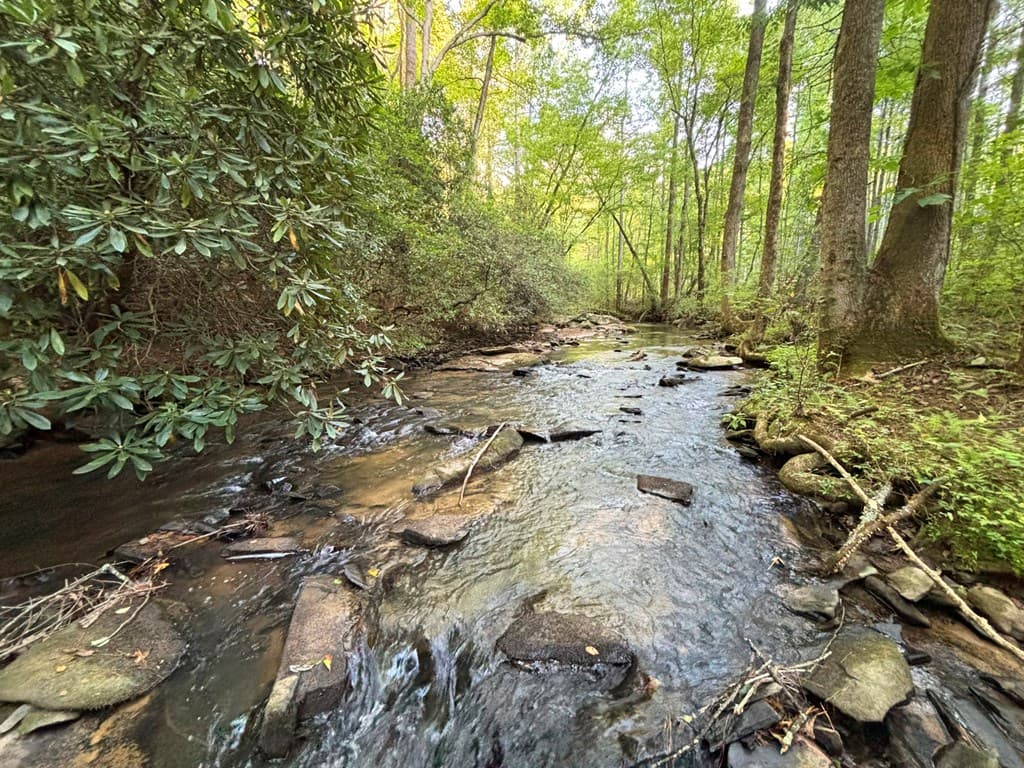 Lot 19 Mt. Springer Road, Ellijay GA 30540 - Photo