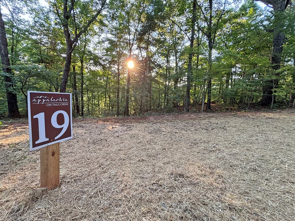 Lot 19 Mt. Springer Road, Ellijay GA 30540 - Photo