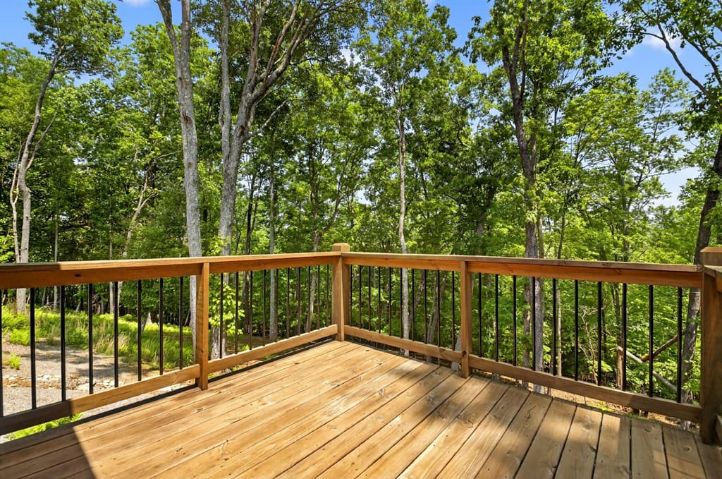 558 Tipton Springs Road, Morganton GA 30560 - Photo