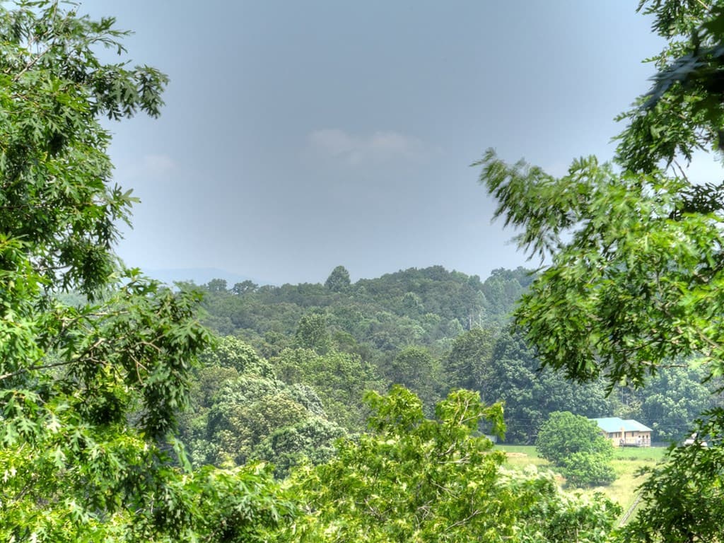 558 Tipton Springs Road, Morganton GA 30560 - Photo