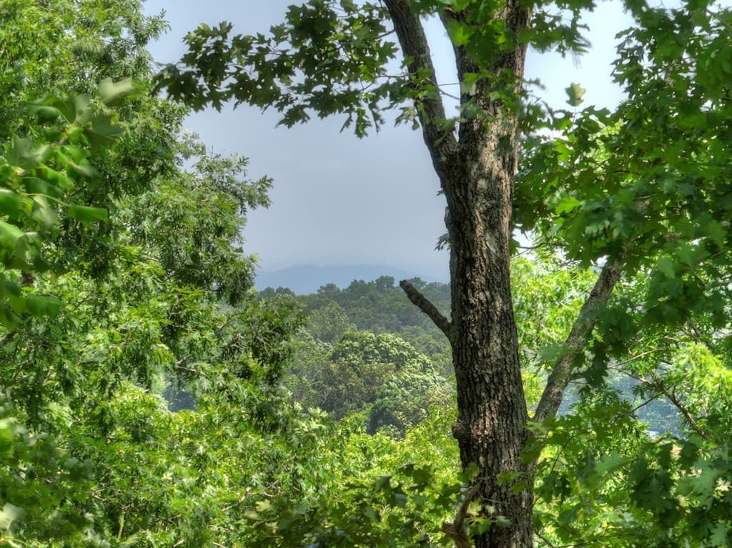 558 Tipton Springs Road, Morganton GA 30560 - Photo