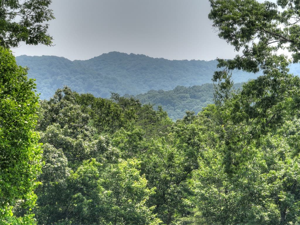 558 Tipton Springs Road, Morganton GA 30560 - Photo