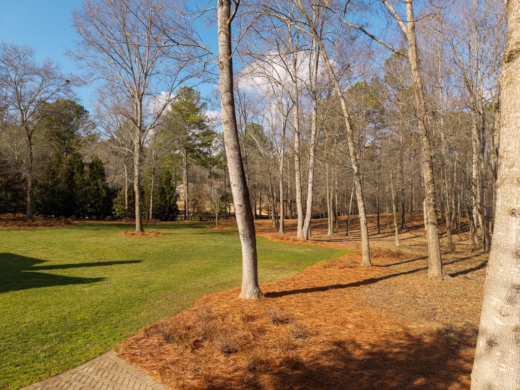 210 Etowah Landing, Ball Ground GA 30107 - Photo