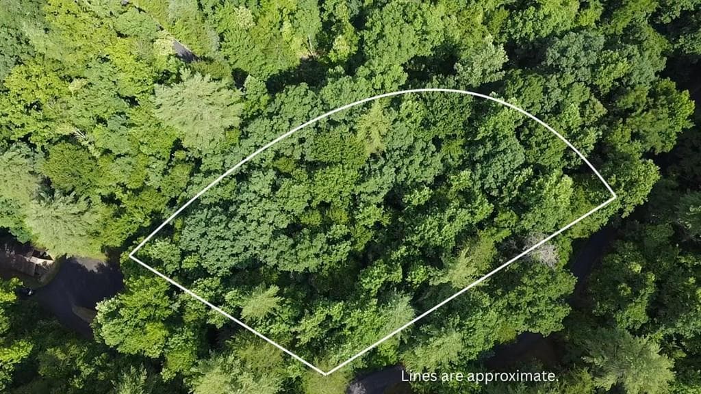 LOT 30A Trillium Heights, Hayesville NC 28904 - Photo