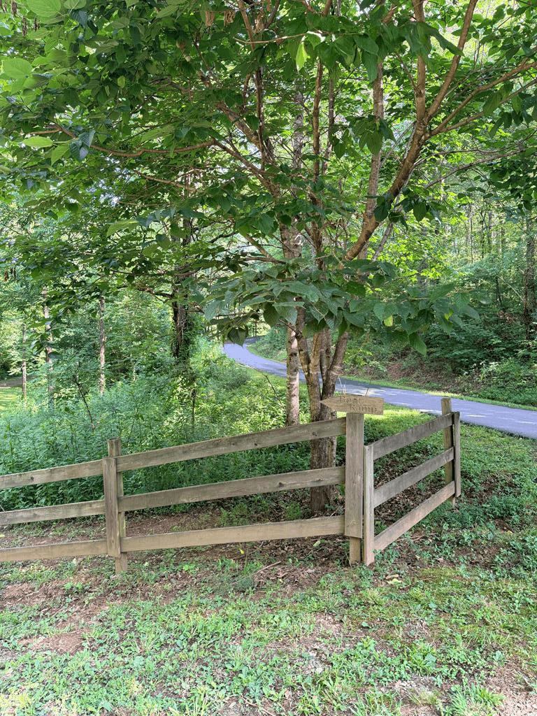 LOT 30A Trillium Heights, Hayesville NC 28904 - Photo