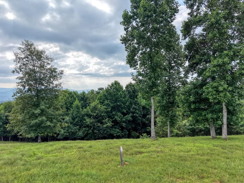 lot 28 Mile High, Blairsville GA 30512 - Photo