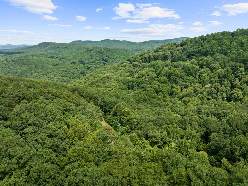 233 Stone Cliff Drive, Ellijay GA 30560 - Photo