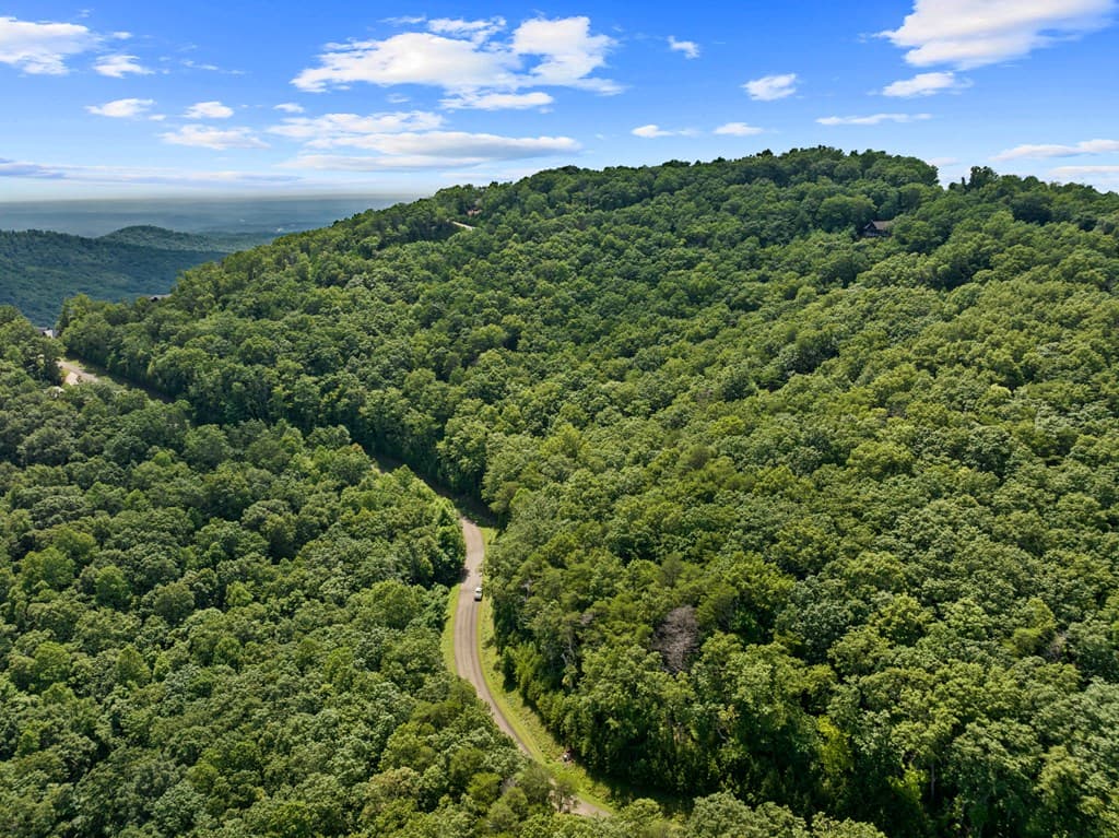 233 Stone Cliff Drive, Ellijay GA 30560 - Photo
