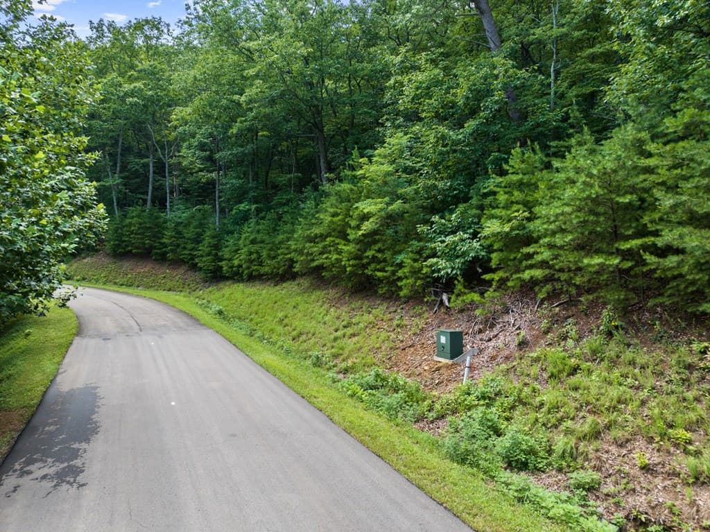 233 Stone Cliff Drive, Ellijay GA 30560 - Photo