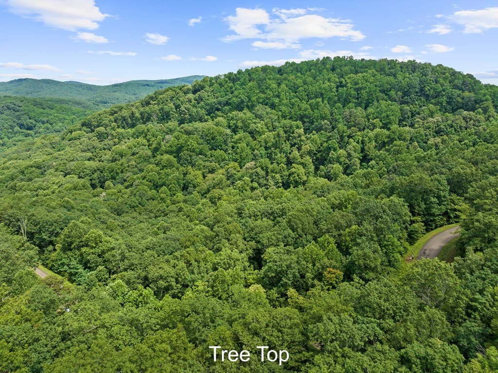 233 Stone Cliff Drive, Ellijay GA 30560 - Photo