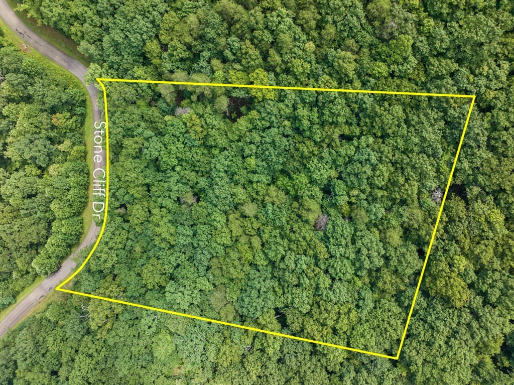 233 Stone Cliff Drive, Ellijay GA 30560 - Photo