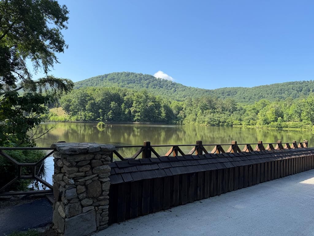 233 Stone Cliff Drive, Ellijay GA 30560 - Photo