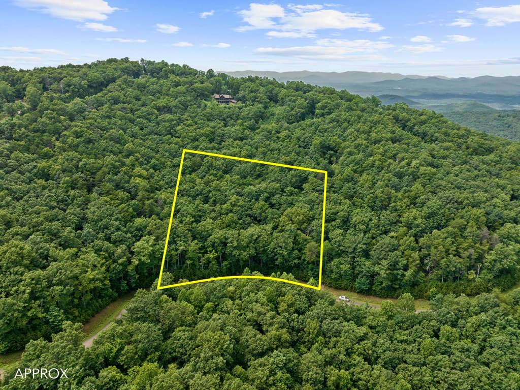 233 Stone Cliff Drive, Ellijay GA 30560 - Photo