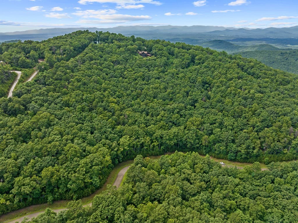 233 Stone Cliff Drive, Ellijay GA 30560 - Photo