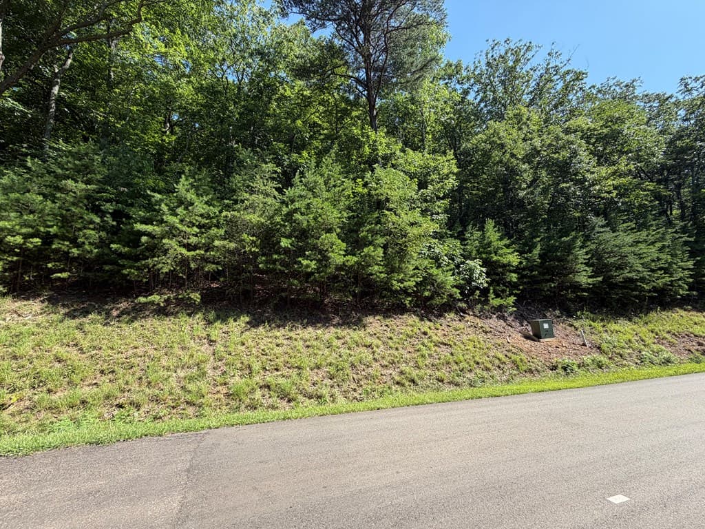 233 Stone Cliff Drive, Ellijay GA 30560 - Photo