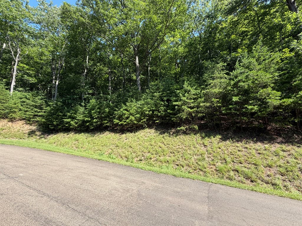 233 Stone Cliff Drive, Ellijay GA 30560 - Photo