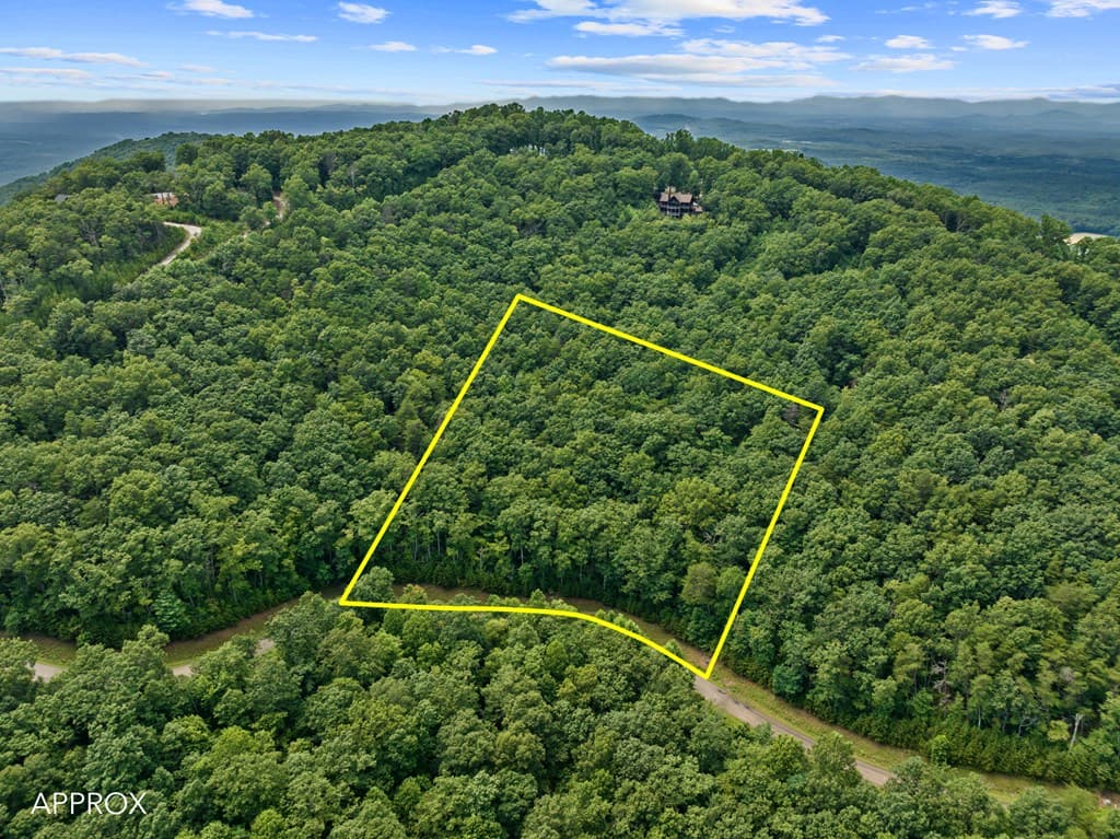 233 Stone Cliff Drive, Ellijay GA 30560 - Photo