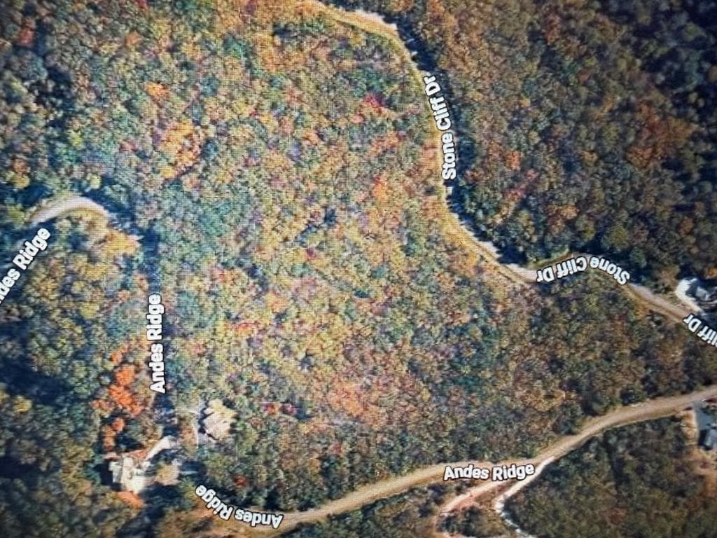 233 Stone Cliff Drive, Ellijay GA 30560 - Photo