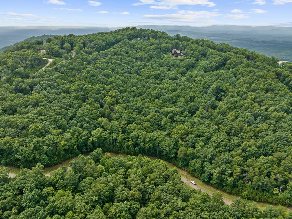 233 Stone Cliff Drive, Ellijay GA 30560 - Photo