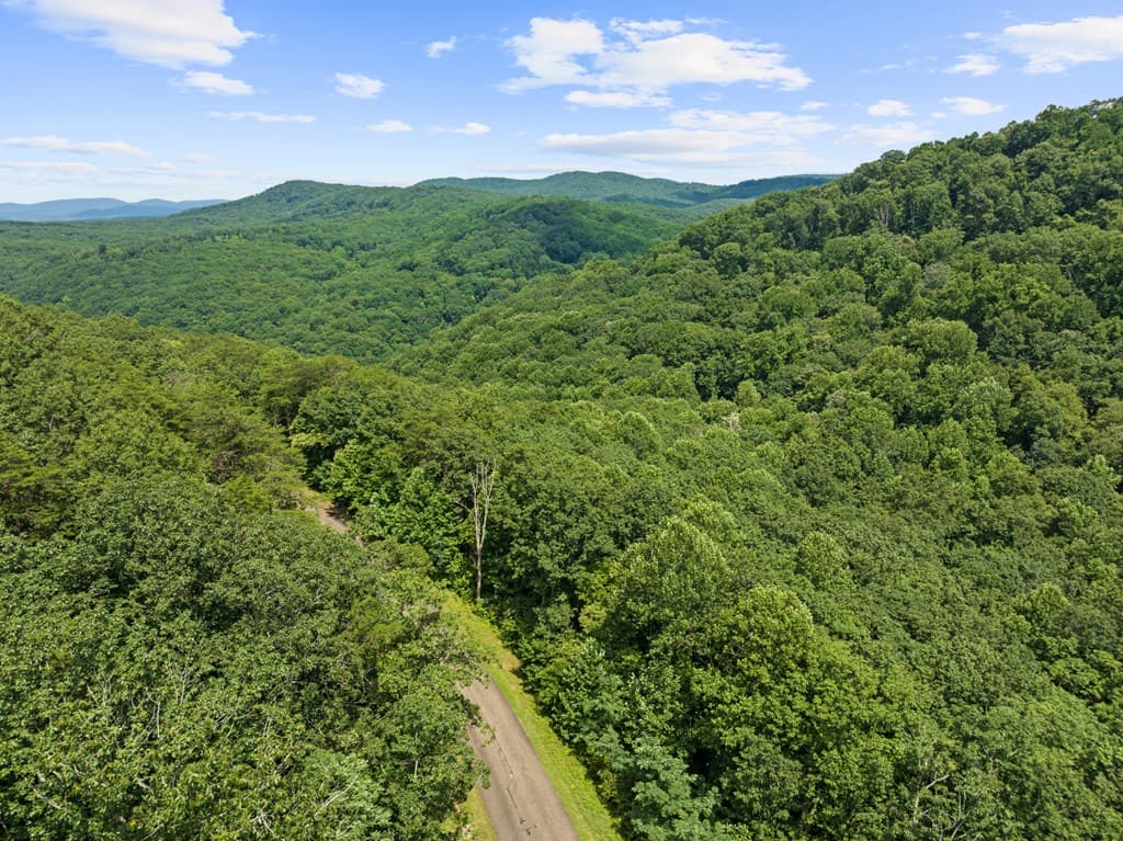 233 Stone Cliff Drive, Ellijay GA 30560 - Photo