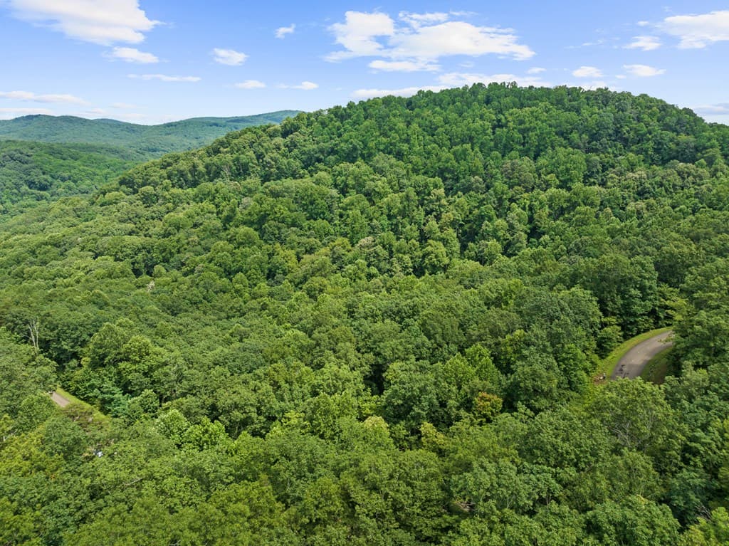 233 Stone Cliff Drive, Ellijay GA 30560 - Photo