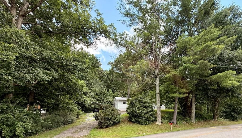 203 Jones Street, Blairsville GA 30512 - Photo