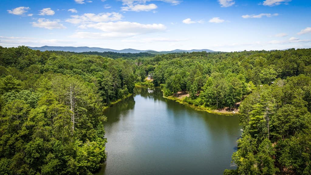 363 Pinnacle Drive, Ellijay GA 30540 - Photo