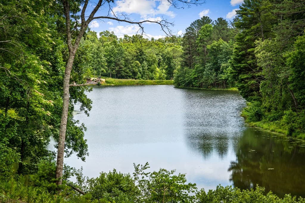 363 Pinnacle Drive, Ellijay GA 30540 - Photo