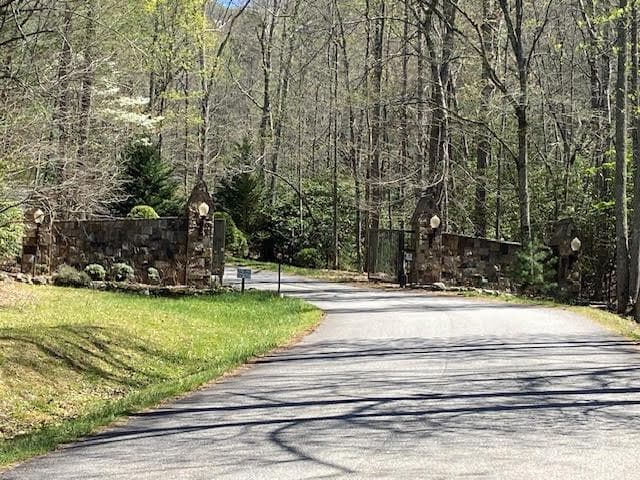 313 Lexington Drive, Brasstown NC 28902 - Photo