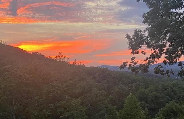 313 Lexington Drive, Brasstown NC 28902 - Photo