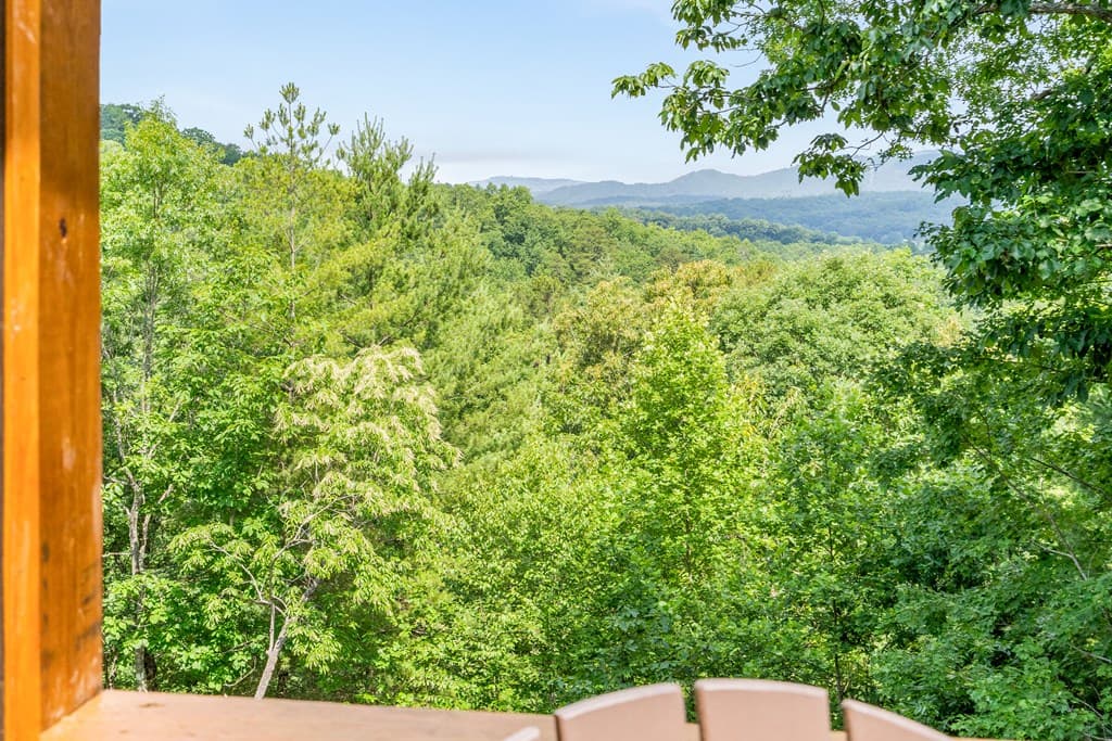 313 Lexington Drive, Brasstown NC 28902 - Photo