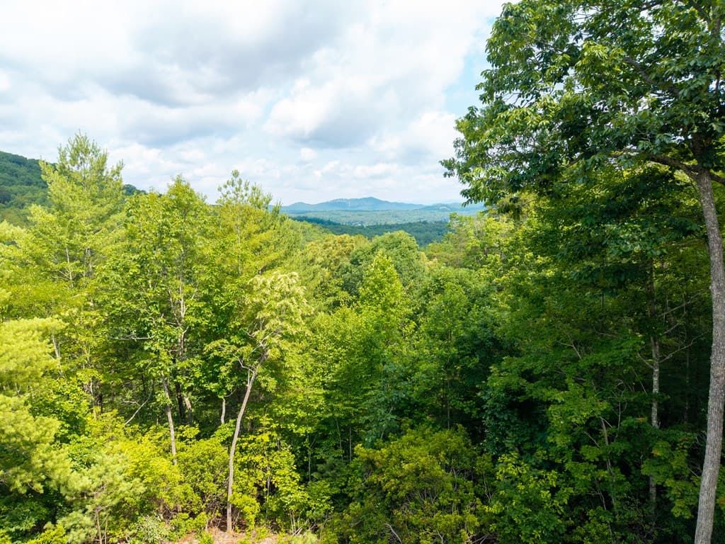 313 Lexington Drive, Brasstown NC 28902 - Photo