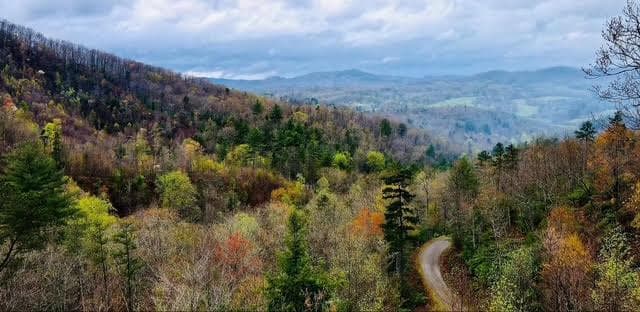 313 Lexington Drive, Brasstown NC 28902 - Photo