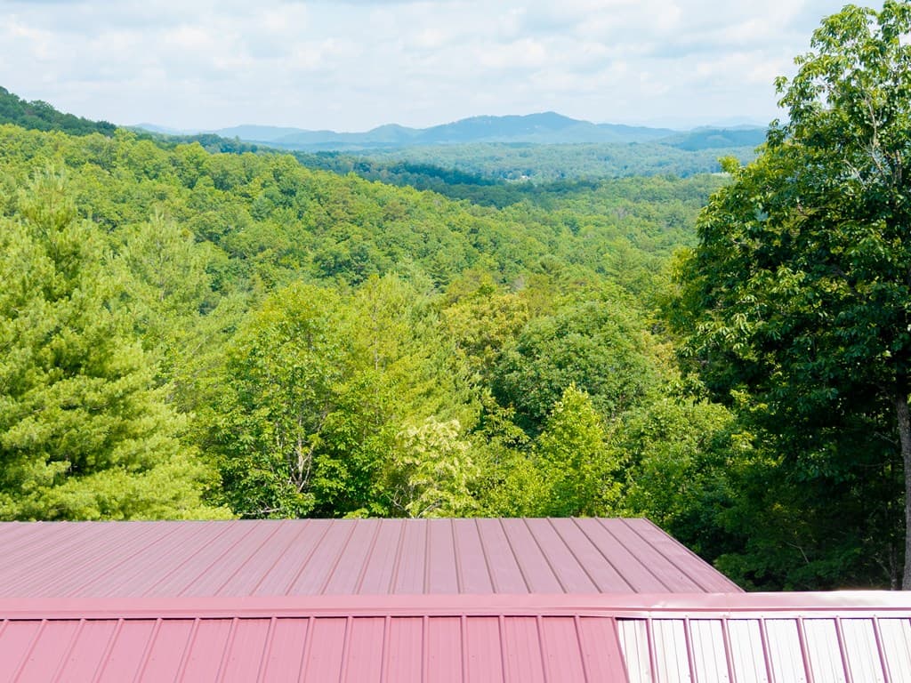 313 Lexington Drive, Brasstown NC 28902 - Photo