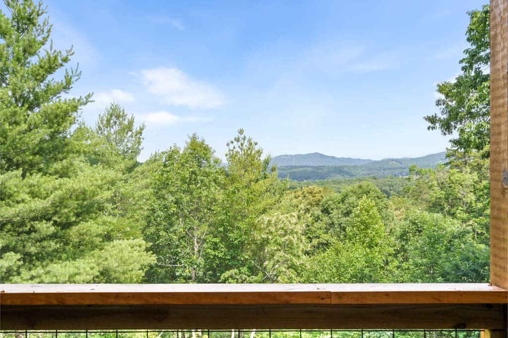 313 Lexington Drive, Brasstown NC 28902 - Photo