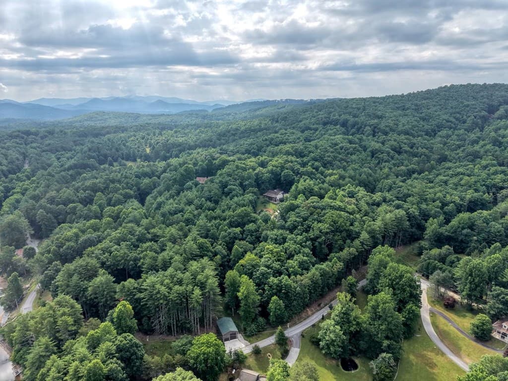 lot 5 Shallow Creek Road, Blairsville GA 30512 - Photo