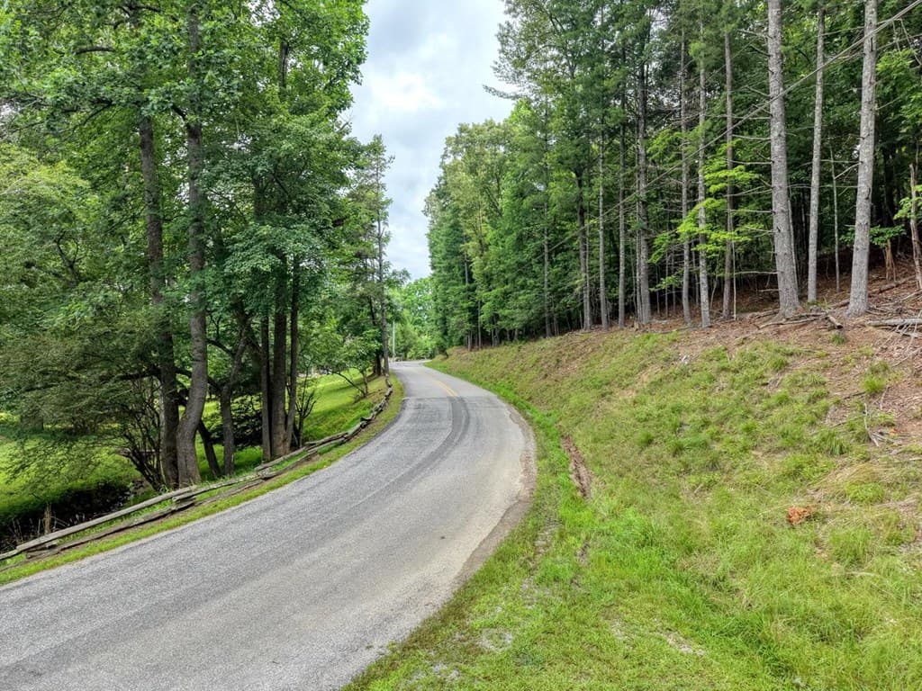 lot 5 Shallow Creek Road, Blairsville GA 30512 - Photo