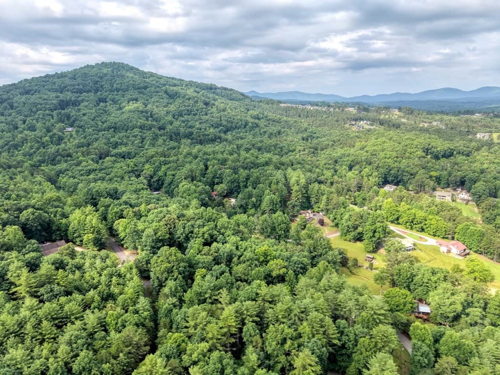 lot 5 Shallow Creek Road, Blairsville GA 30512 - Photo