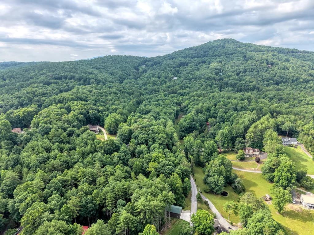 lot 5 Shallow Creek Road, Blairsville GA 30512 - Photo