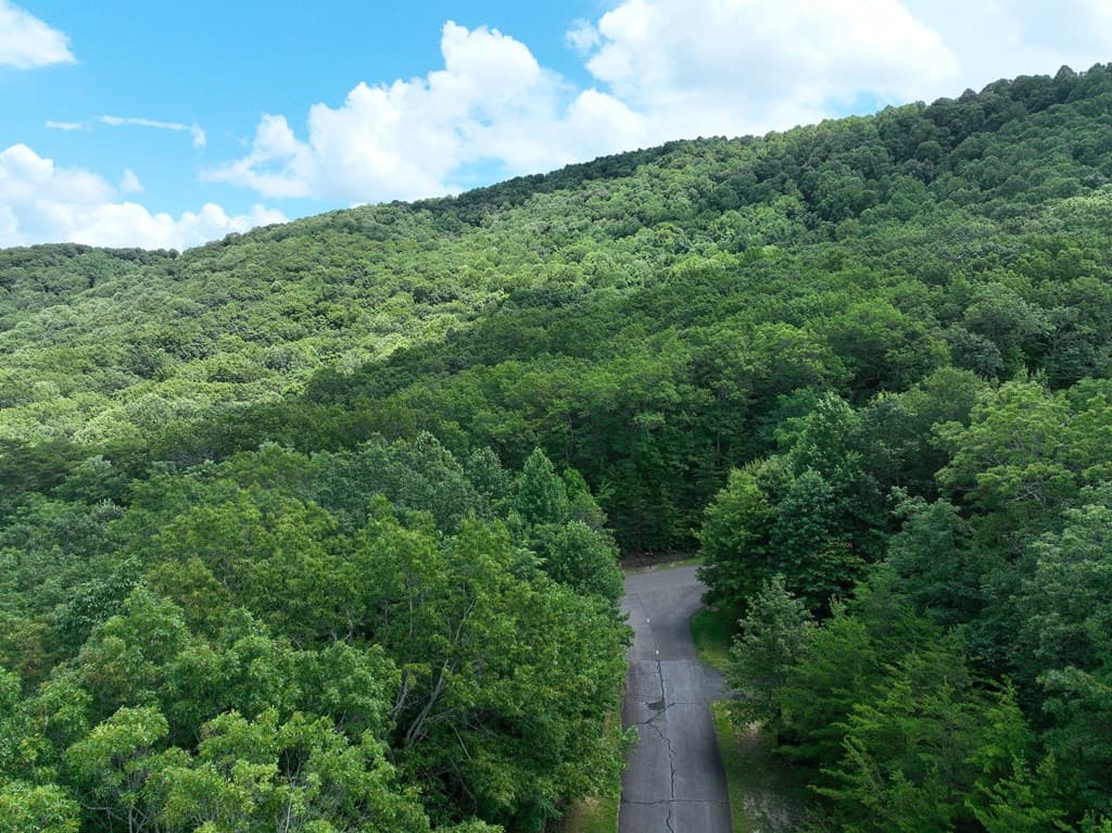 122 Cloudland Drive, Ellijay GA 30536 - Photo
