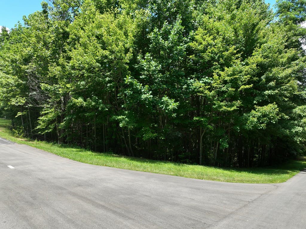 122 Cloudland Drive, Ellijay GA 30536 - Photo