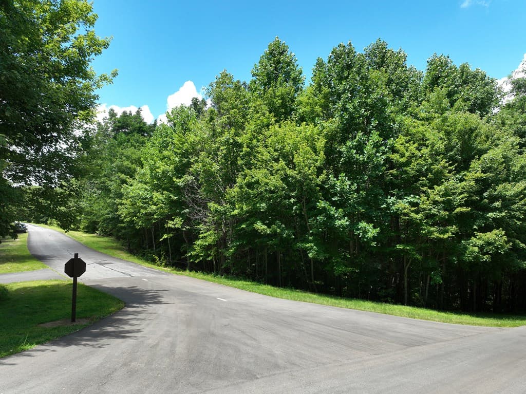 122 Cloudland Drive, Ellijay GA 30536 - Photo