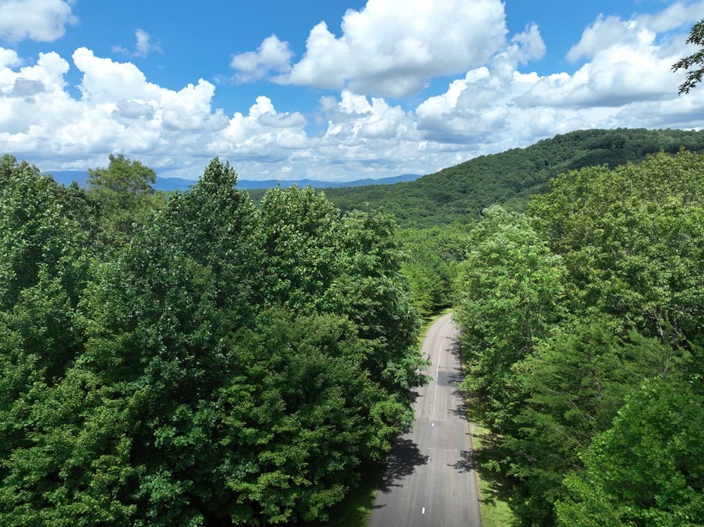 122 Cloudland Drive, Ellijay GA 30536 - Photo