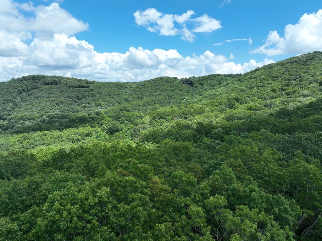 122 Cloudland Drive, Ellijay GA 30536 - Photo