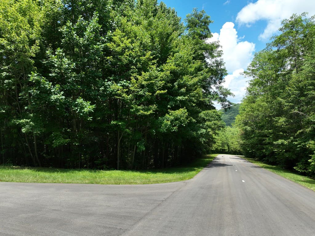122 Cloudland Drive, Ellijay GA 30536 - Photo