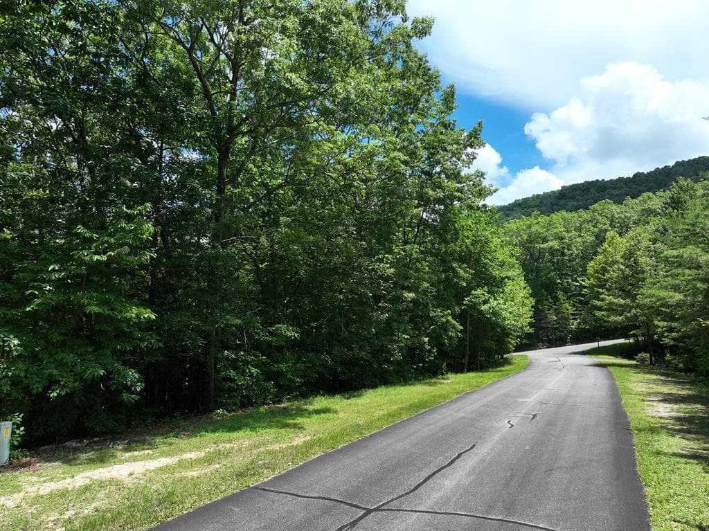 122 Cloudland Drive, Ellijay GA 30536 - Primary photo
