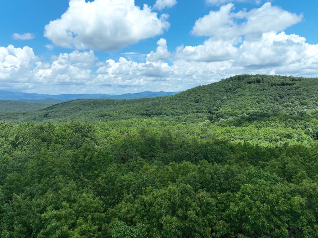 122 Cloudland Drive, Ellijay GA 30536 - Photo